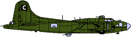 Diagram of this aircraft's type and markings